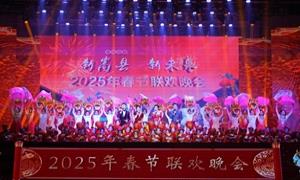 嵩县百姓共赏春晚 舞台演绎湖城新颜