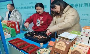 粤桂消费协作广西好物直播活动在南宁启动