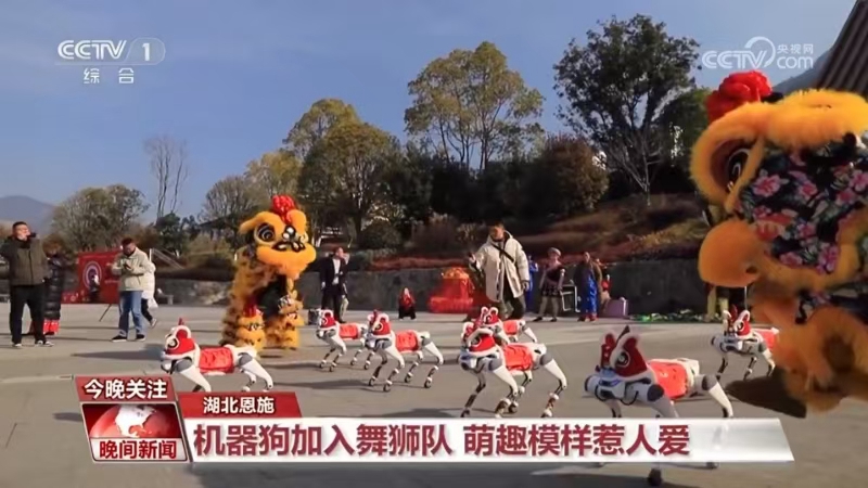 央视报道截图.jpg