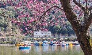 洞下槽村龙赶湖：人间二月始芳菲