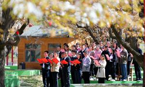 固原市隆德县： 奏响移风易俗“四部曲” 绘就乡风文明新“底色”