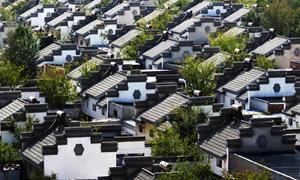 银川市丰登镇：移风易俗入阡陌 文明之花常盛开