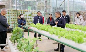 2025年八桂田园智慧农场观摩交流活动启动